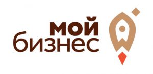Меры государственной поддержки субъектов малого и среднего предпринимательства Владимирской области